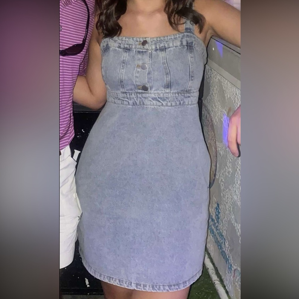 Le Lis Denim Dress